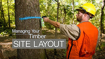 Managing Your Timber - SITE LAYOUT