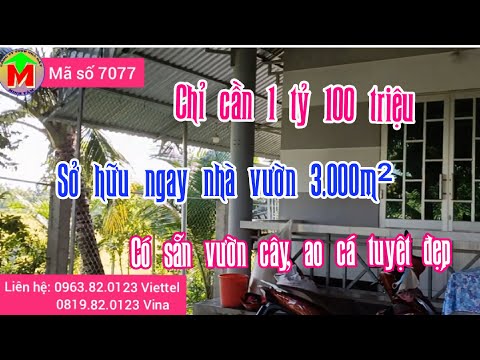 Video (Đã bán) nhà vườn 3.000m², giá 1 tỷ 100 triệu có sẵn... - youtube
