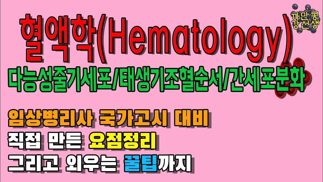 임상병리 국가고시 혈액학(Hematology) 다능성 줄기세포 의미/혈구 생성 순서/간세포 분화 과정