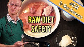 Raw diet for dogs and cats - is it risk free? dog + cat health vet
advice