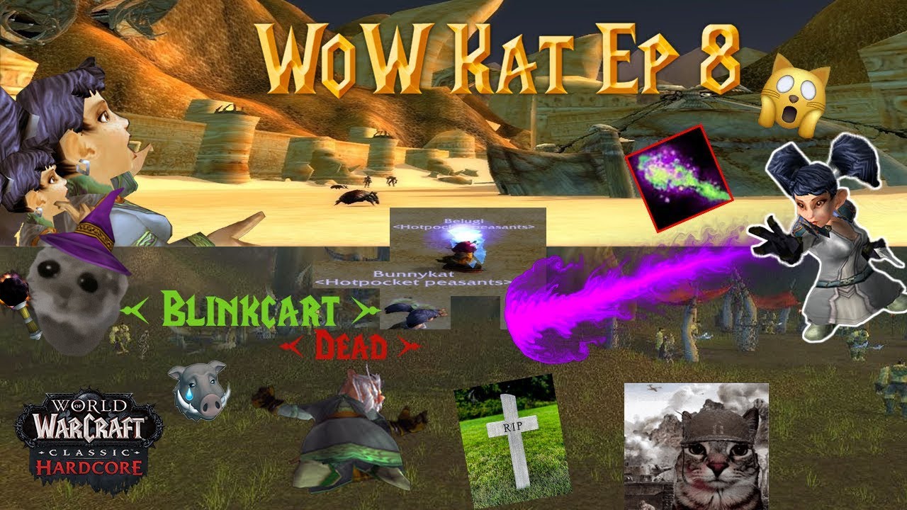 WoW Kat 8: Zul'farrak Gato 😾🧌 - YouTube