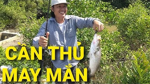 Câu cá chẽm và một ngày may mắn || Câu cá thiên nhiên