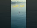 Al Quran