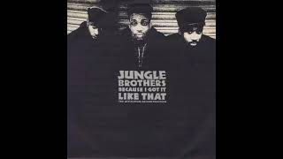 Jungle Brothers - Because I Got It Like That