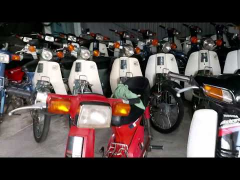 Video Cúp đà lạt đẹp đứng vn đại gia LÂM ĐỒNG - youtube