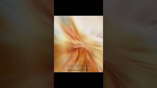 Download Lagu Winx Club glow up😍 MP3