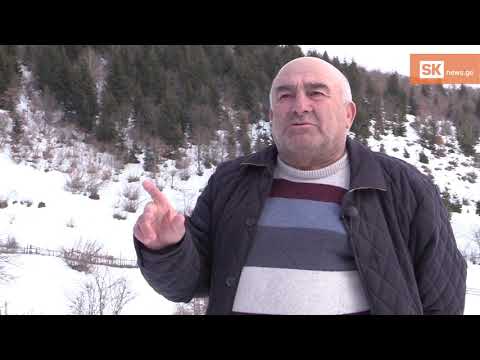 ჯემალ ბოლქვაძე