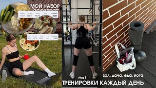 : vlog 8:    ,   ,  , ,    