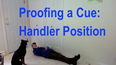 Proofing A Cue: Handler Position #dogskills #dogtraining
