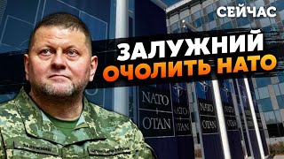 ⚡️ПИНКУС: Залужный станет Генсеком НАТО! Война закончится в ЭТОМ ГОДУ. РФ ПРОИГРАЕТ