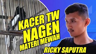 KUALITAS 🔥 KACER NAGEN MATERI MEWAH | KACER TW RICKY SAPUTRA