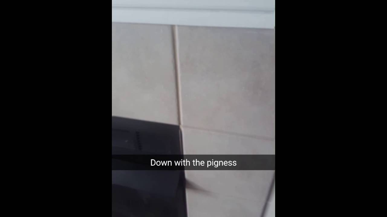 Down with the pigness