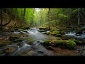 8 HOURS of Deep RELIEF MusicMELTS Stress & Anxiety Away (Ultimate Alpha Waves) FINALLY, Peace.38