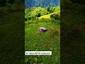 beautiful places 😍😀🤗 #djidrones #travel #subscribe