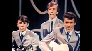 The Bee Gees - A Leader Of Men Wine & Women (HD 1963)