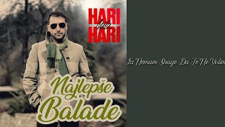 Video thumbnail of "HARI MATA HARI - Ja nemam snage da te ne volim  (Audio 2002)"