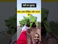 #surajroxfunnyvibeo #funny #shorts #comedy #vikramcomedy