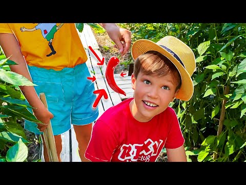 24 часа ДА от Макс и Катя