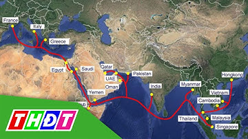 Cáp quang biển AAE-1 đã được khôi phục | THDT