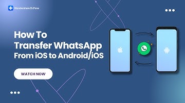 How To Transfer WhatsApp From iOS to Android/iOS