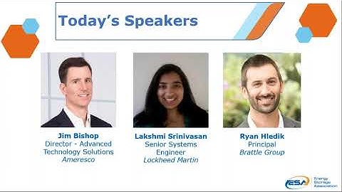 Energy Storage in Microgrid Development