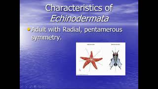 Echinoderm video lesson 1. Zoology, West Clermont High School