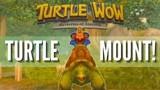 How to get the TURTLE MOUNT in 2024 - TURTLE WOW