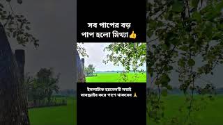 সব পাপের বড় পাপ হলো মিথ্যা। #islamivedio #loveallah786 #duet #unfrez #foryou #shorts #viral #nuture