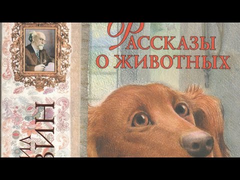 Рассказы о животных.