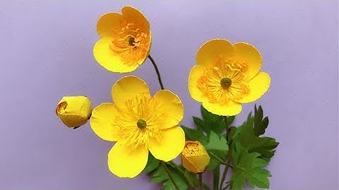 ABC TV | How To Make Buttercups Paper Flower With Shape Punch - Craft Tutorial