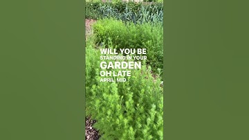 Comment STEPS to get the link to my free webinar: “3 Foolproof Steps to Success with Cool