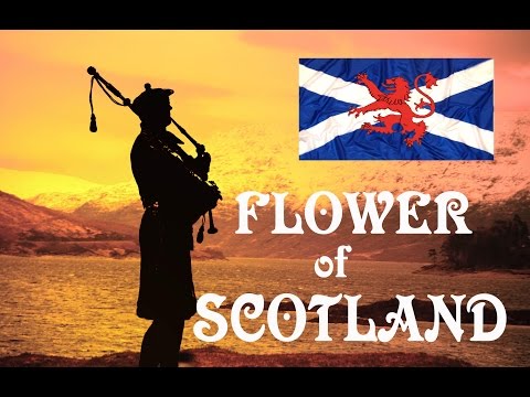 Music ~Flower of Scotland ~Lone Piper~ Bagpipes.