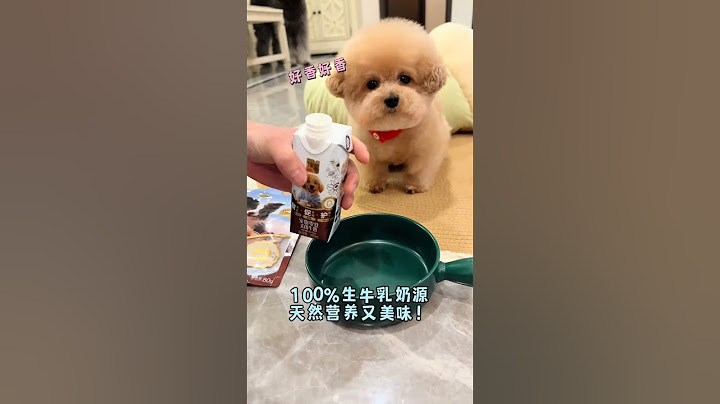 骗吃骗喝才答应跳一支懂掐掐舞…#萌宠#可爱#依宝 #依宝宠物牛奶 #依宝奶墩墩