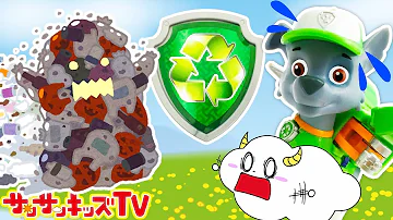 パウパトロール サンサンキッズtv パウパトロール サンサンキッズtv