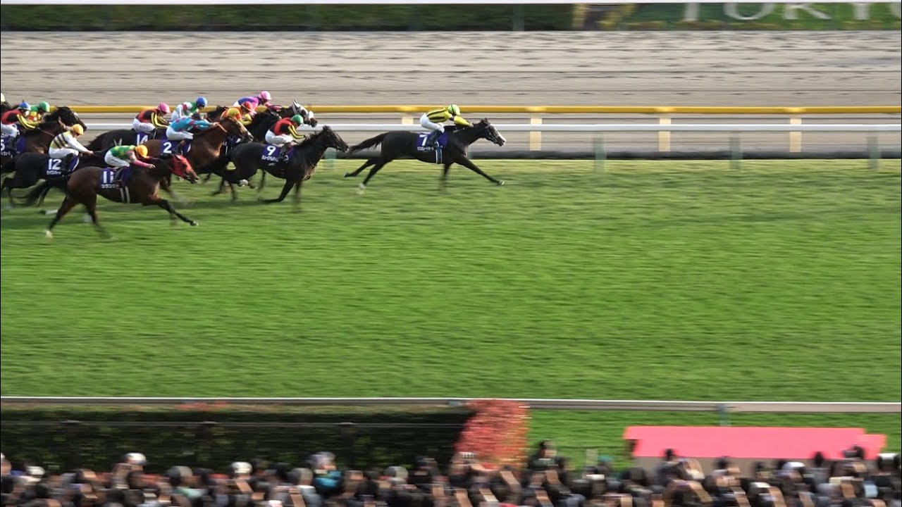天皇賞秋2025】現地レース映像 マスカレードボール クリストフ 