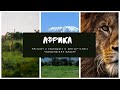 "Африка": образовательное видео и мастер-класс