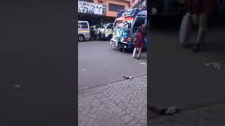 Big Chief Now In Town