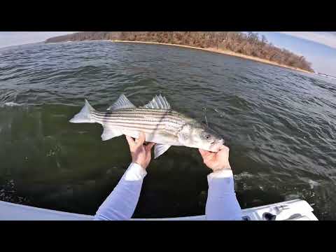 Striped bass fishing raritan bay early spring