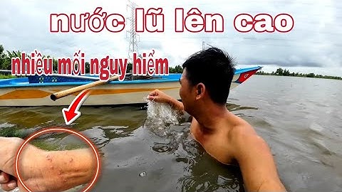 Đặt lờ cá gặp phải con này thôi xong - vũ heo