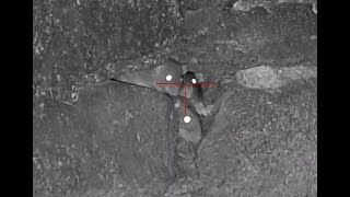 Rat Despatch Xxxix  Fair Ground Spectacular  Double Headers Hide  Seek Rogues Gallery  Mayhem