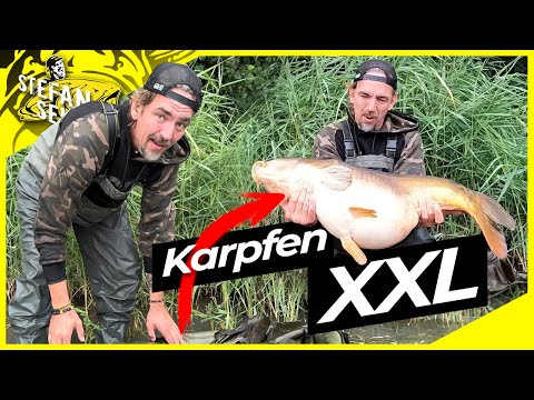 MONSTER KARPFEN am