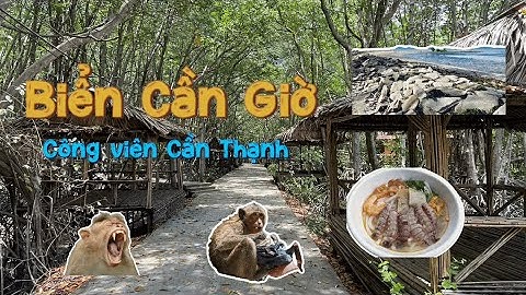 Biển Cần Giờ || Khu Du Lịch Sinh Thái Dần Xây || Rừng Sác