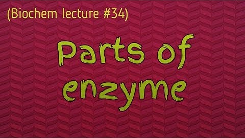 Parts of enzymes | hand written easy notes | urdu lecture | Learn with Aroosa waheed