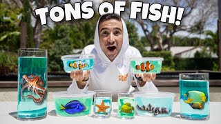 I Bought EVERY AQUARIUM FISH from the Fish Store!! *big plans*