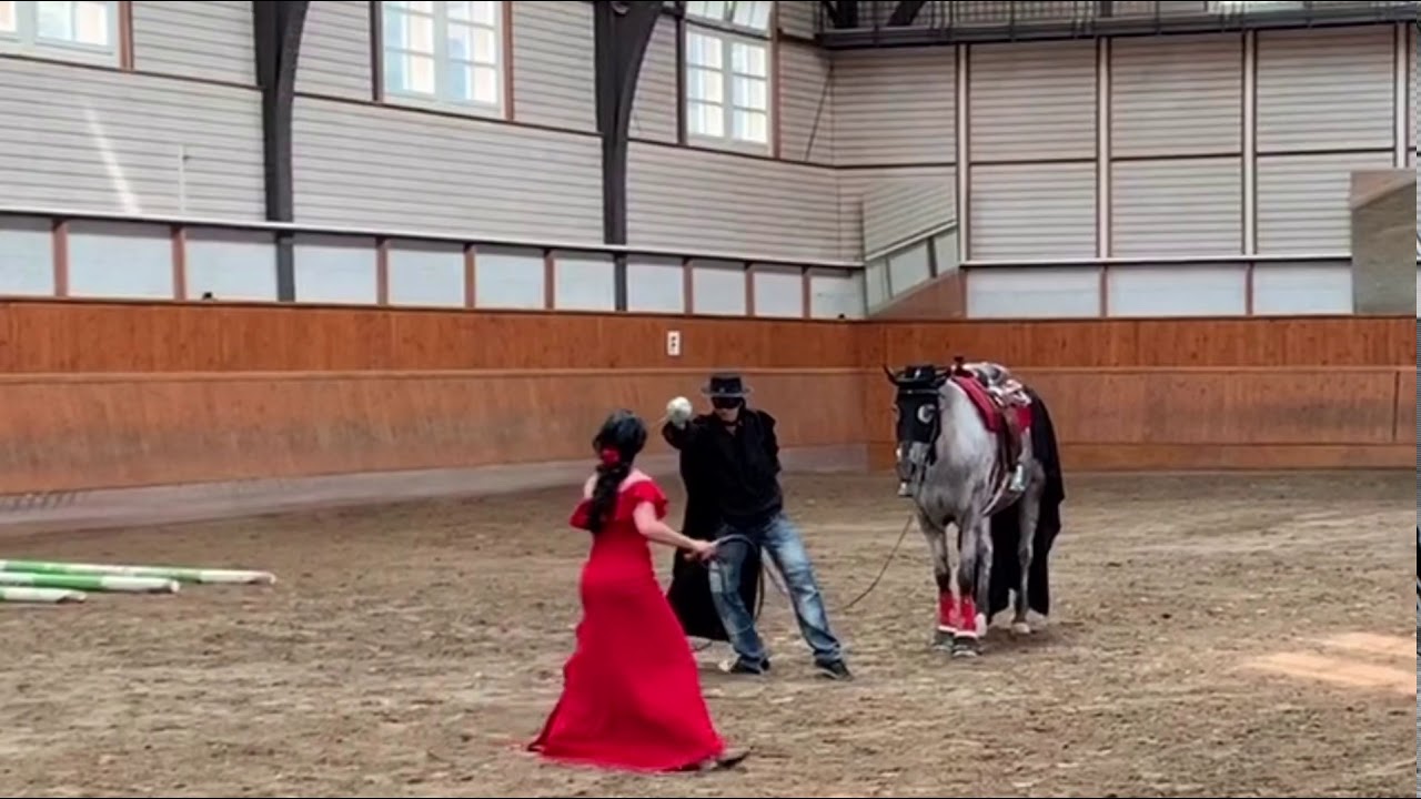 Freestyle Ranch Riding / RWRA 2019 Avenches - YouTube