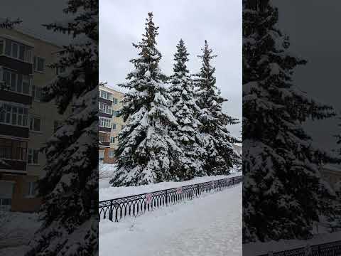 Видео: Посвящается городу Зеленодольск Республики Татарстан #стихидлядуши #стихи #зеленодольск #любовь