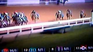 2011 Breeders Cup Classic