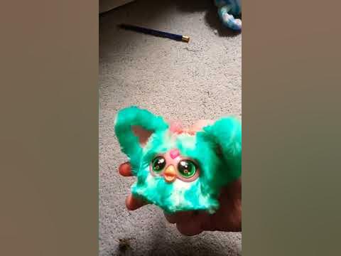 look I got a furblet :D - YouTube