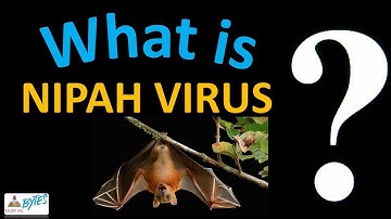What is NIPAH VIRUS ? symptoms, prevention & cure | study ias 2019 special