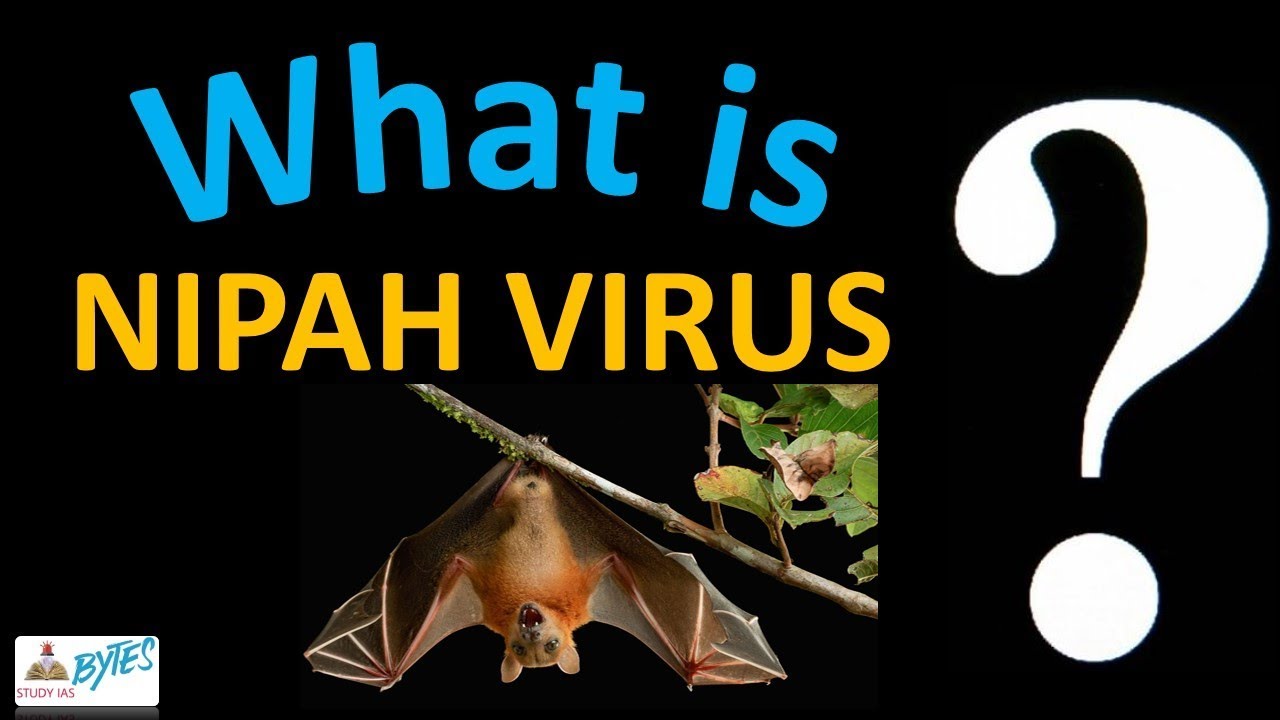 What is NIPAH VIRUS ? symptoms, prevention & cure | study ias 2019 special